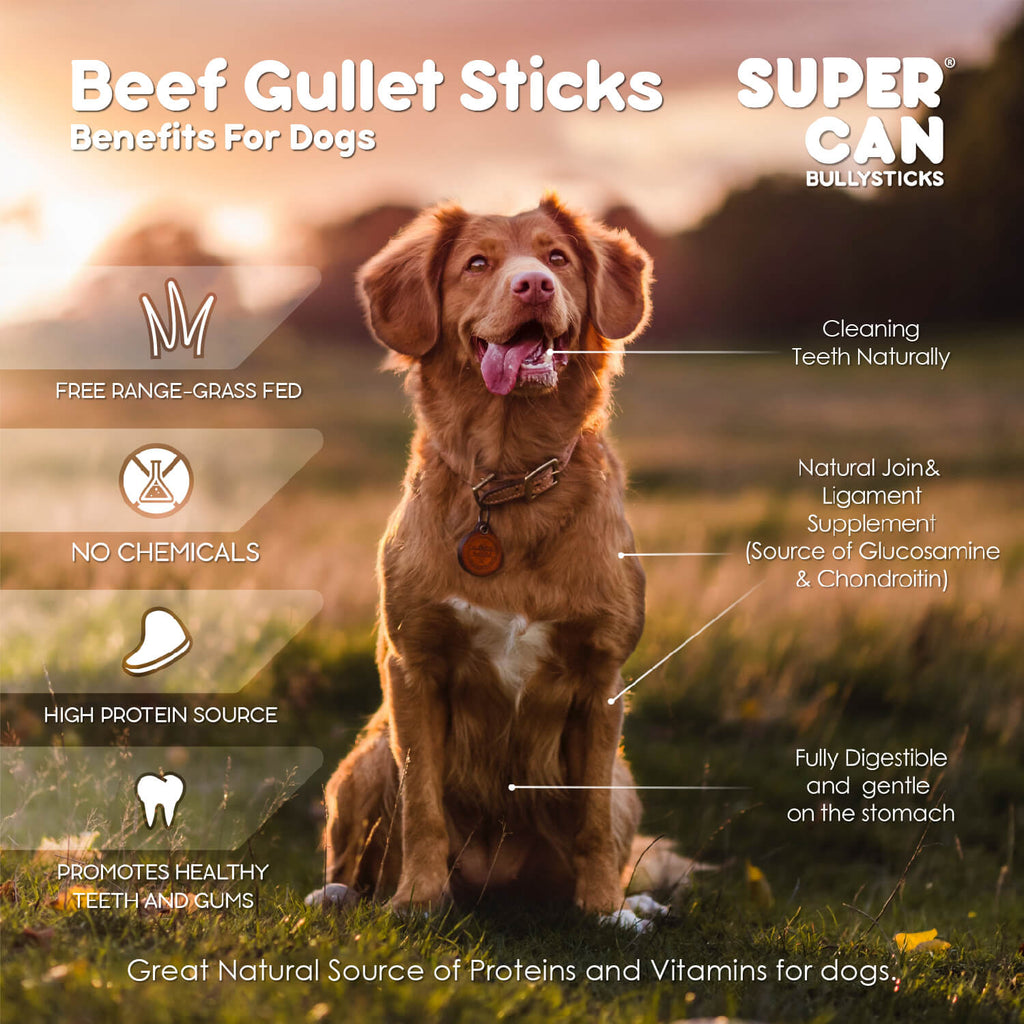 6" Beef Gullet Sticks 8oz (25-Pack)