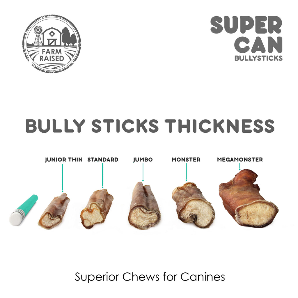 6" Jumbo Bully Sticks (10-Pack)