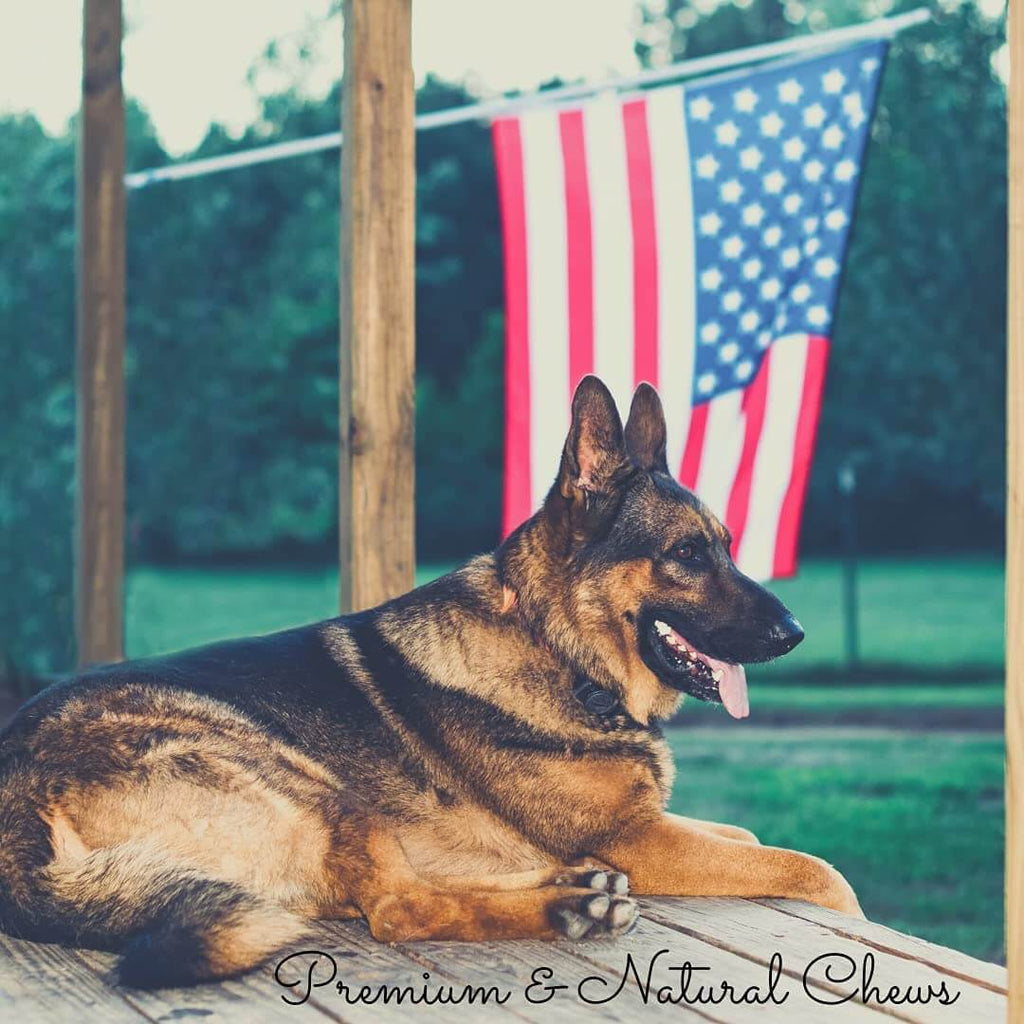 6" Beef Gullet Sticks 8oz (25-Pack)